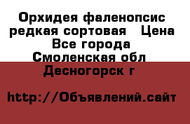 Орхидея фаленопсис редкая сортовая › Цена ­ 800 - Все города  »    . Смоленская обл.,Десногорск г.